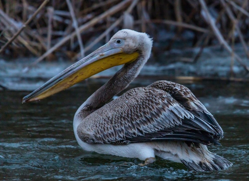 Photograph by Дмитрий Власов
