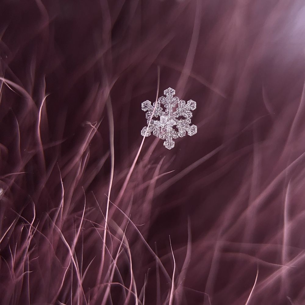 Photograph by Юлия Отставнова