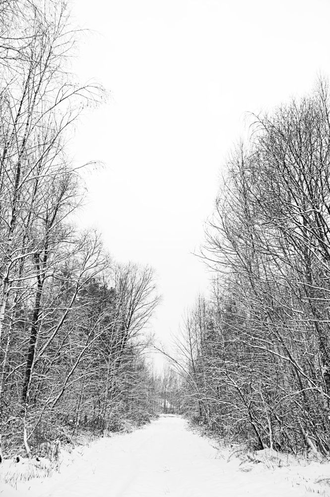 Photograph by Евгений Козлов