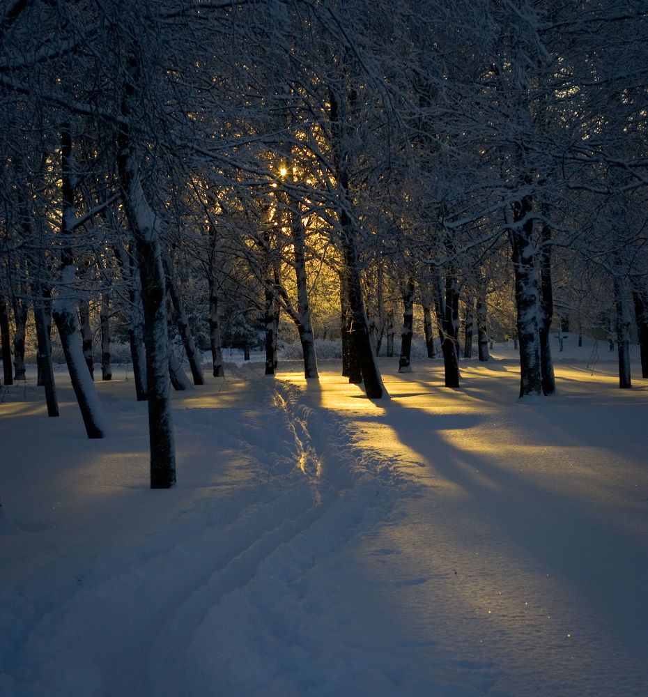 Photograph by stepan