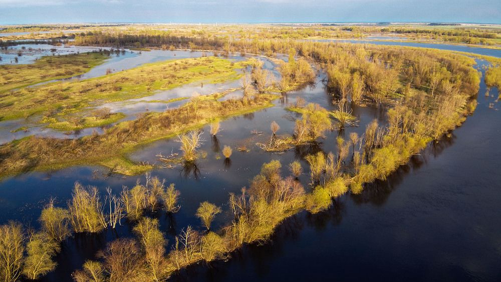 Photograph by Ольга