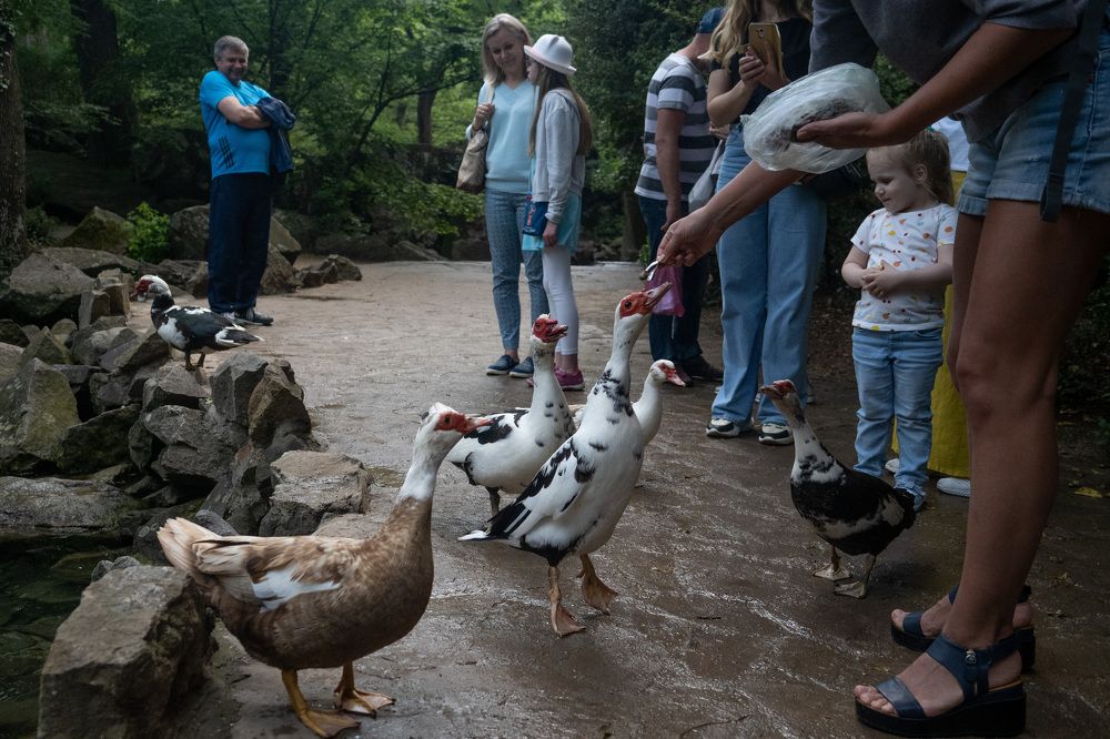 На цыпочках