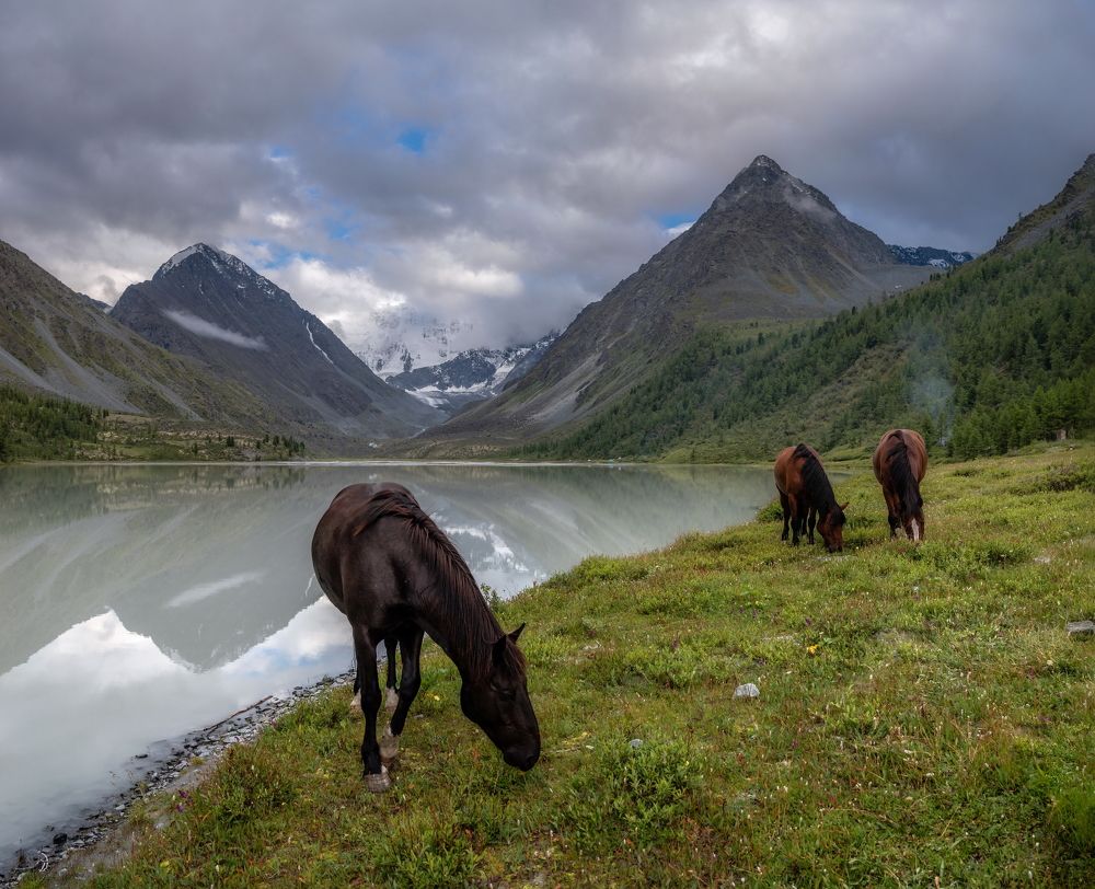 Photograph by Николай Васильев