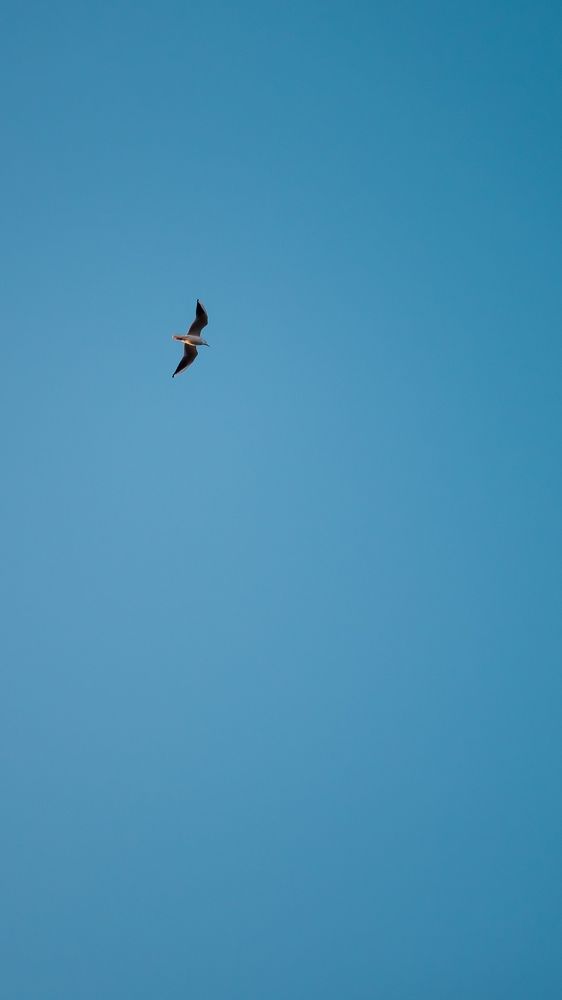 Photograph by Mohammad Mazareiy