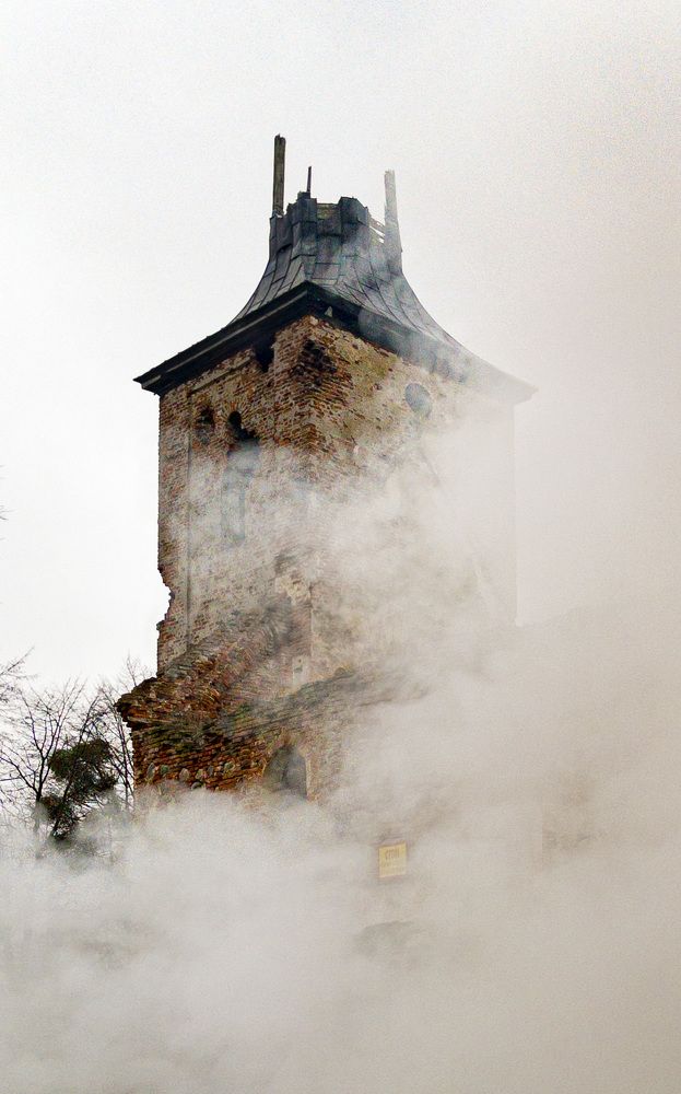 Photograph by Маслова Анастасия