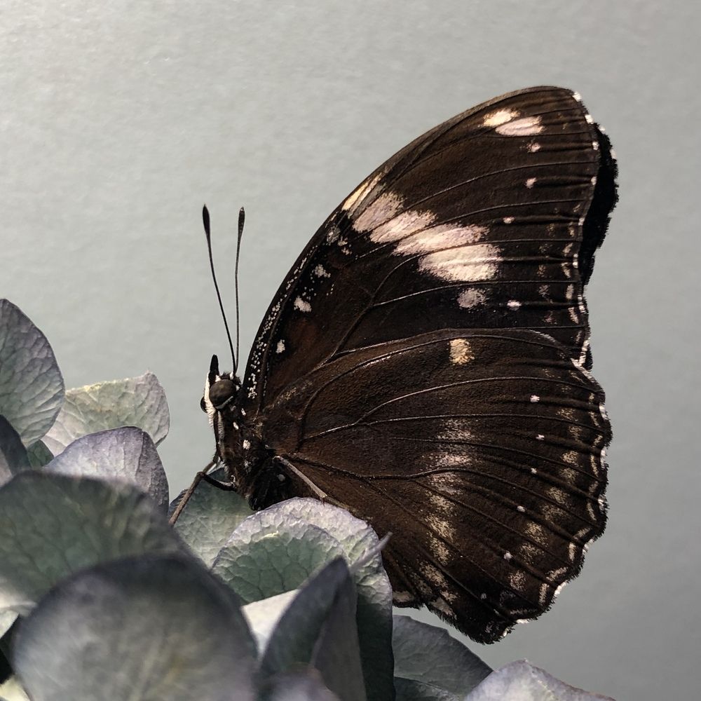 Photograph by Юлия Отставнова