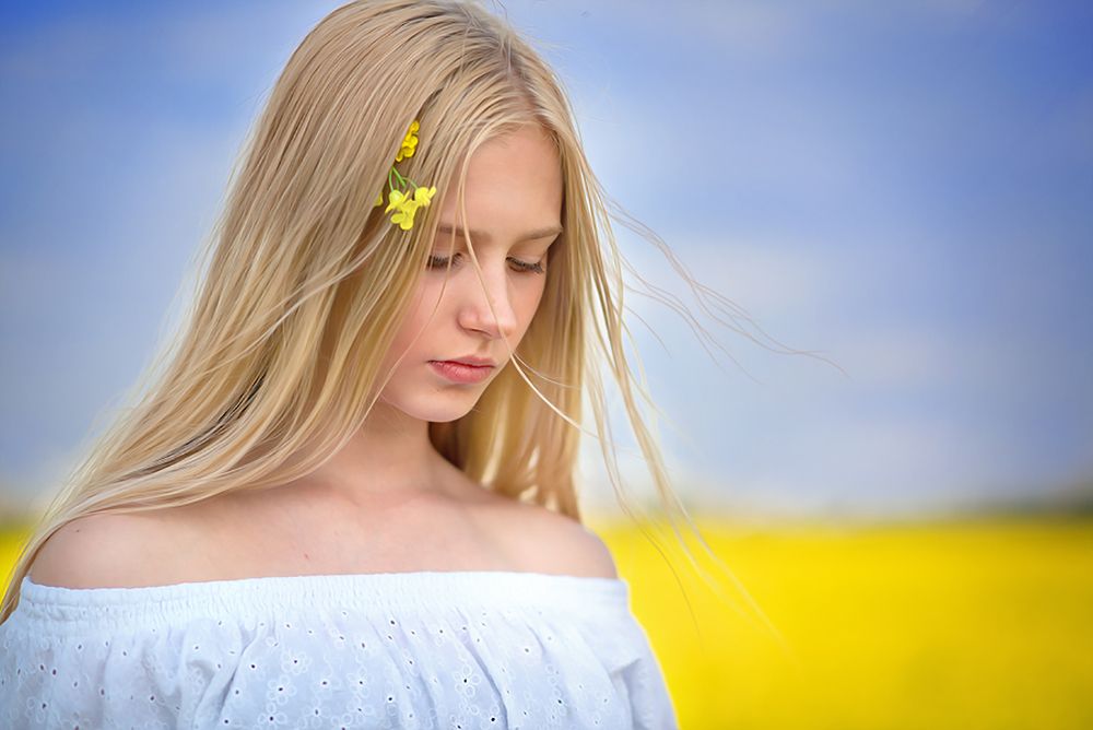 Поле солнца