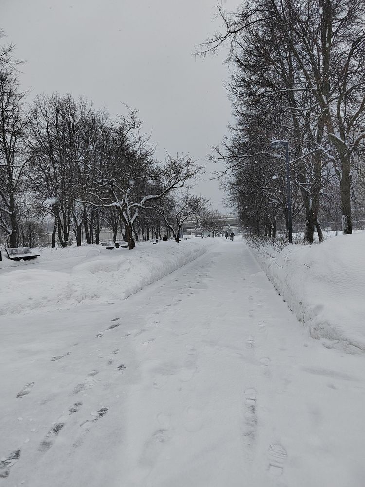 Photograph by Екатерина Слепнева