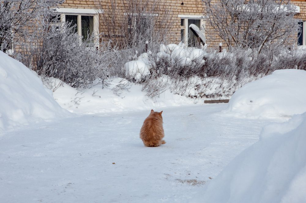 Photograph by Дарья Бухреева