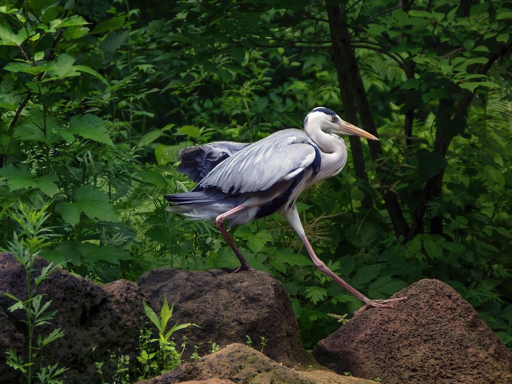 Photograph by Фёдор Зубчик