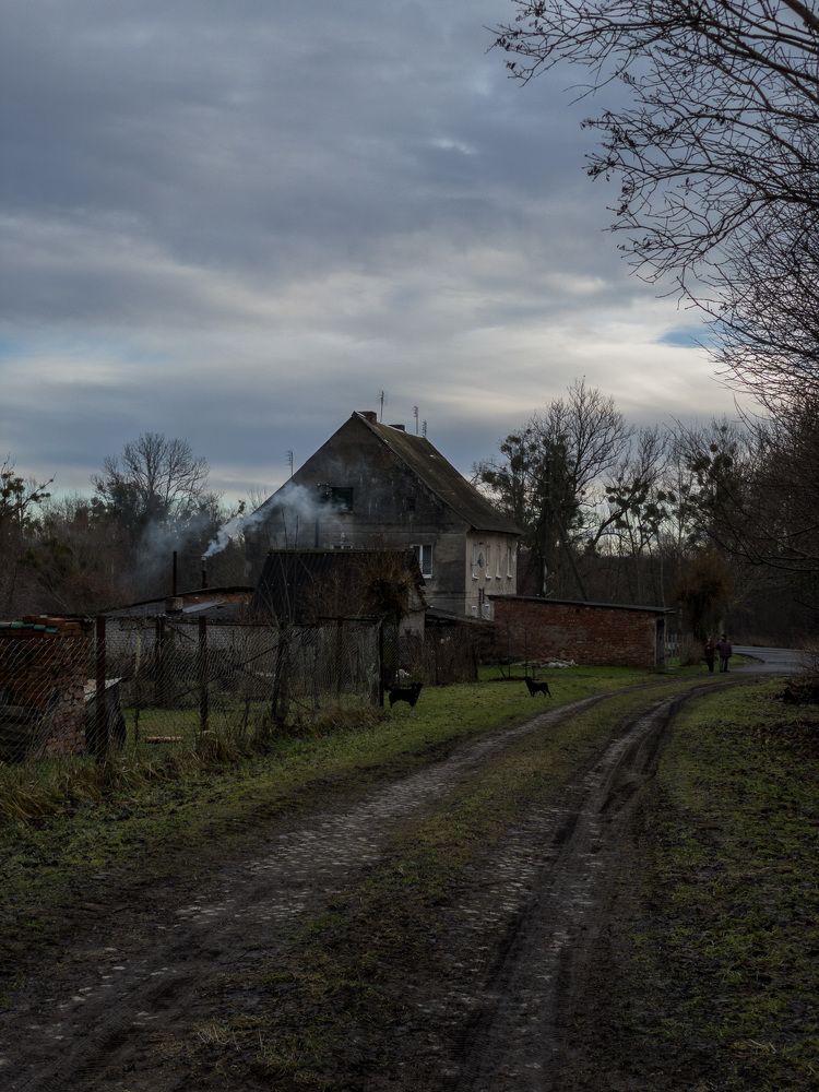 Photograph by Маслова Анастасия