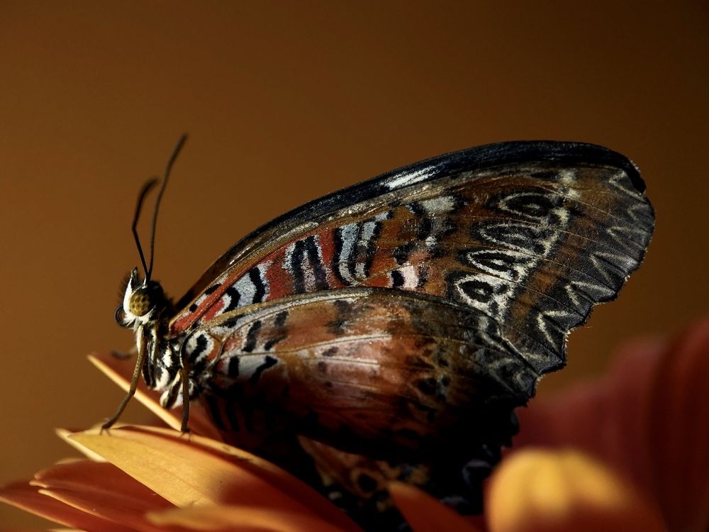 Photograph by Юлия Отставнова