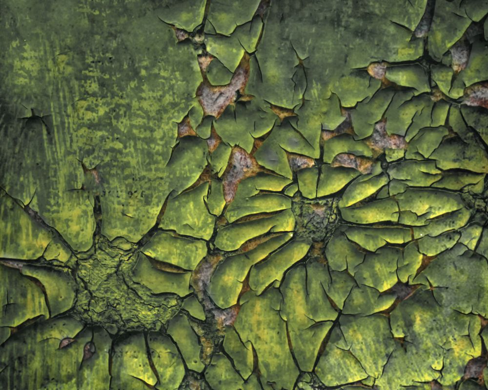 Photograph by IRA Gencheva