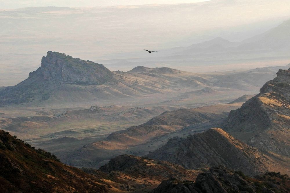 Photograph by Marat Magov