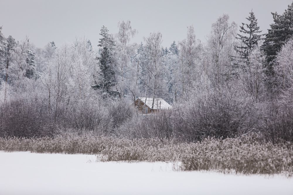 Photograph by Sergey Uskov