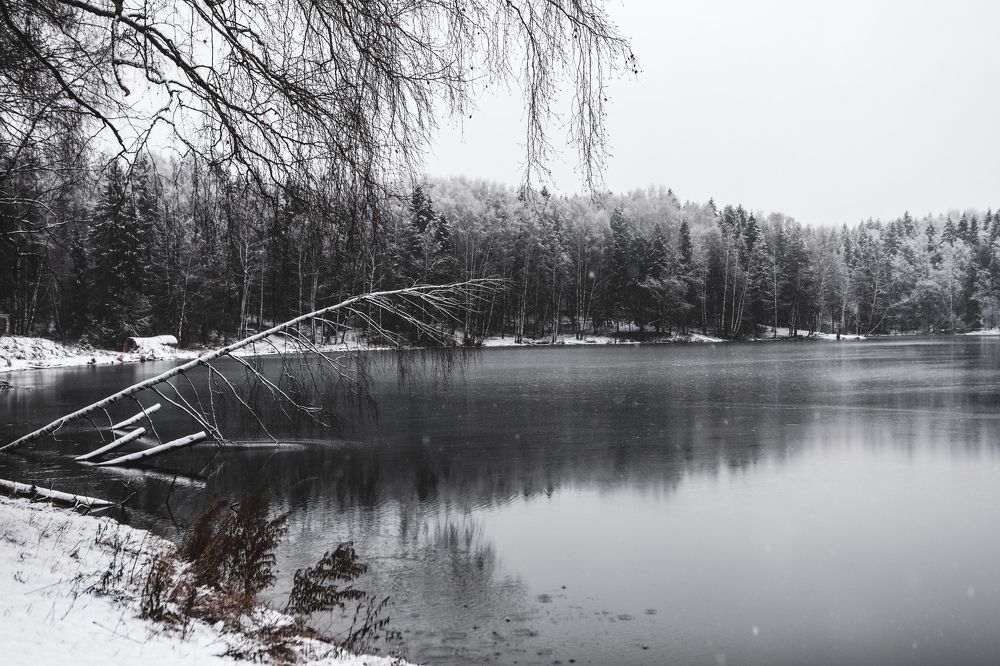 Photograph by Sergey Uskov