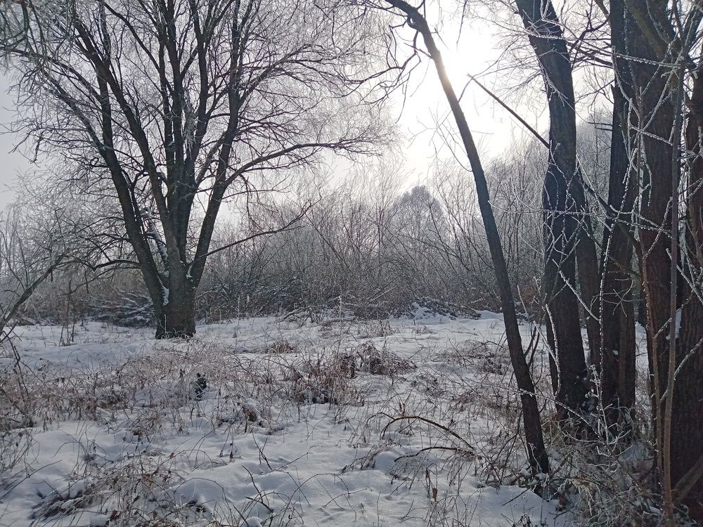 Photo #7176178
