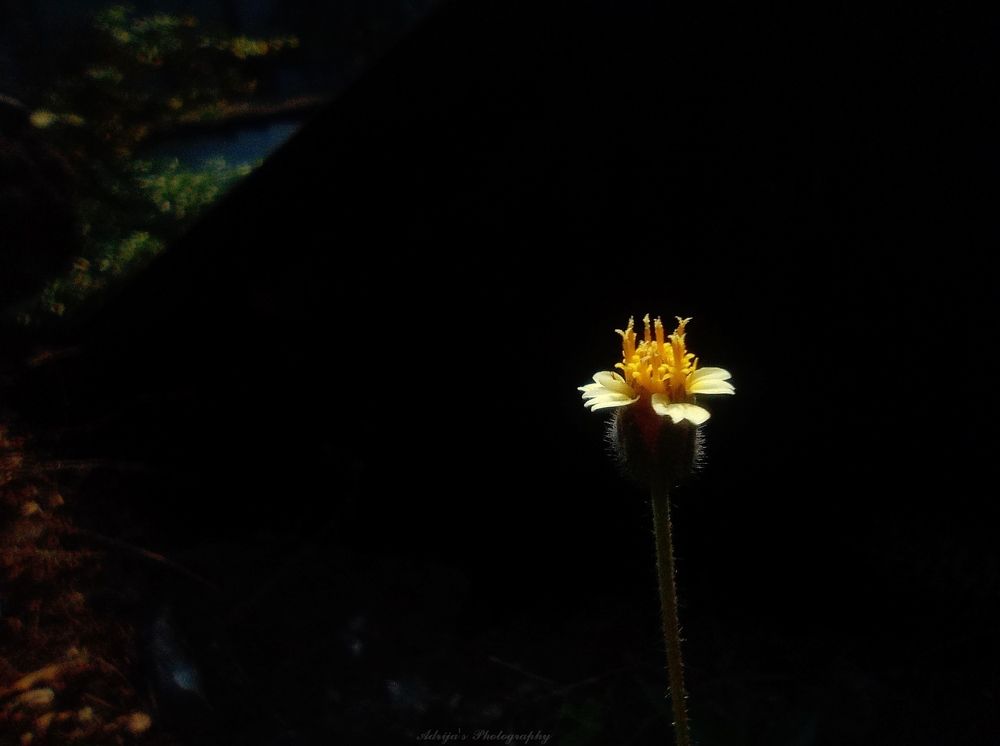 Photograph by Adrija Kundu