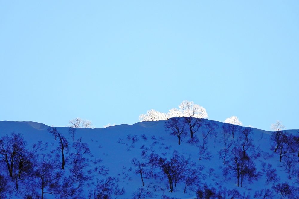 Photograph by Андрей