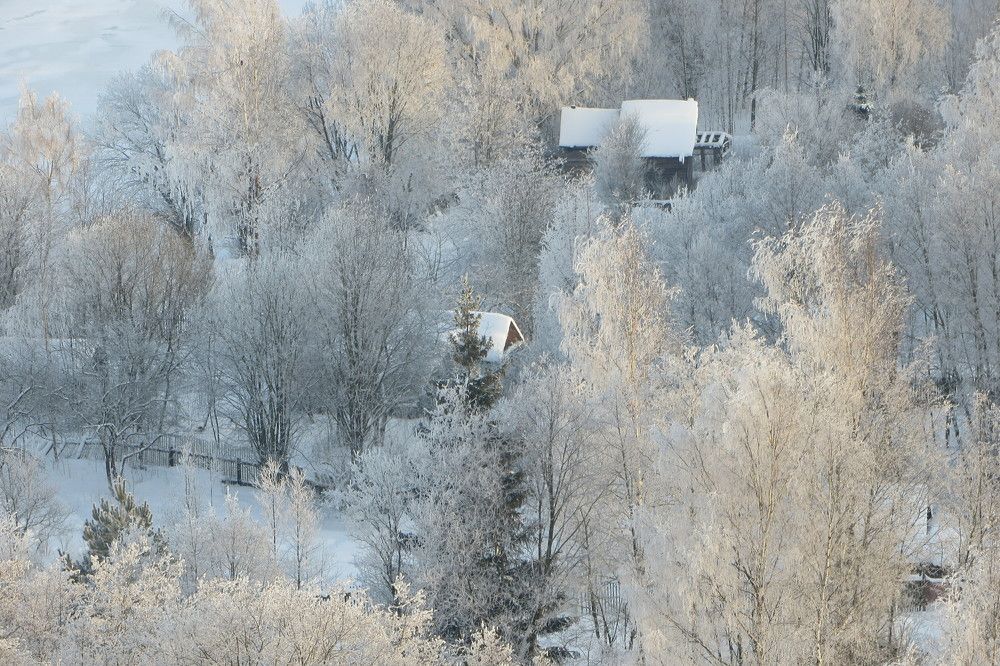 Photograph by Darya Вега