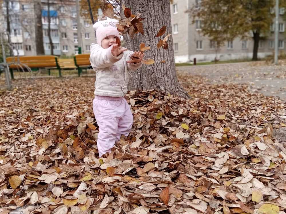 Photograph by Елена