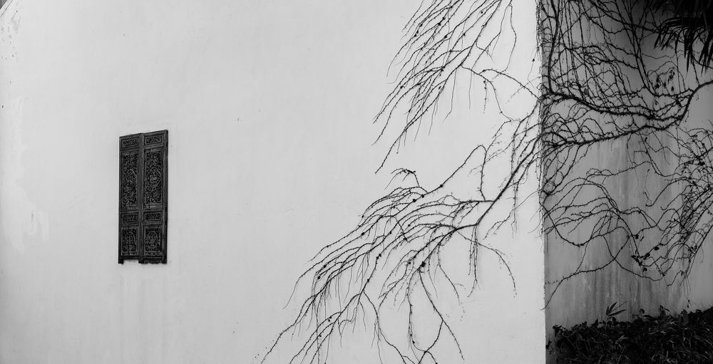 Photograph by Кирина Елизавета