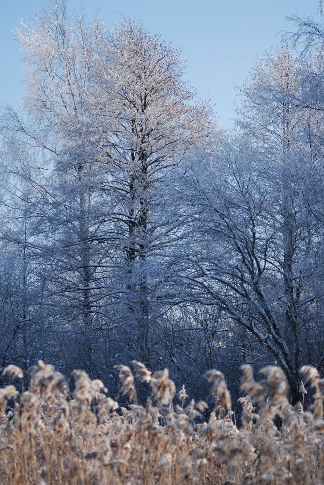 Photograph by Дарья Эпштейн