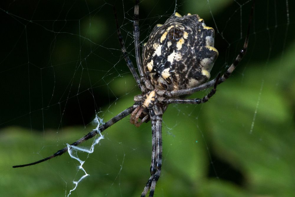 Photograph by Rimma Volchenko