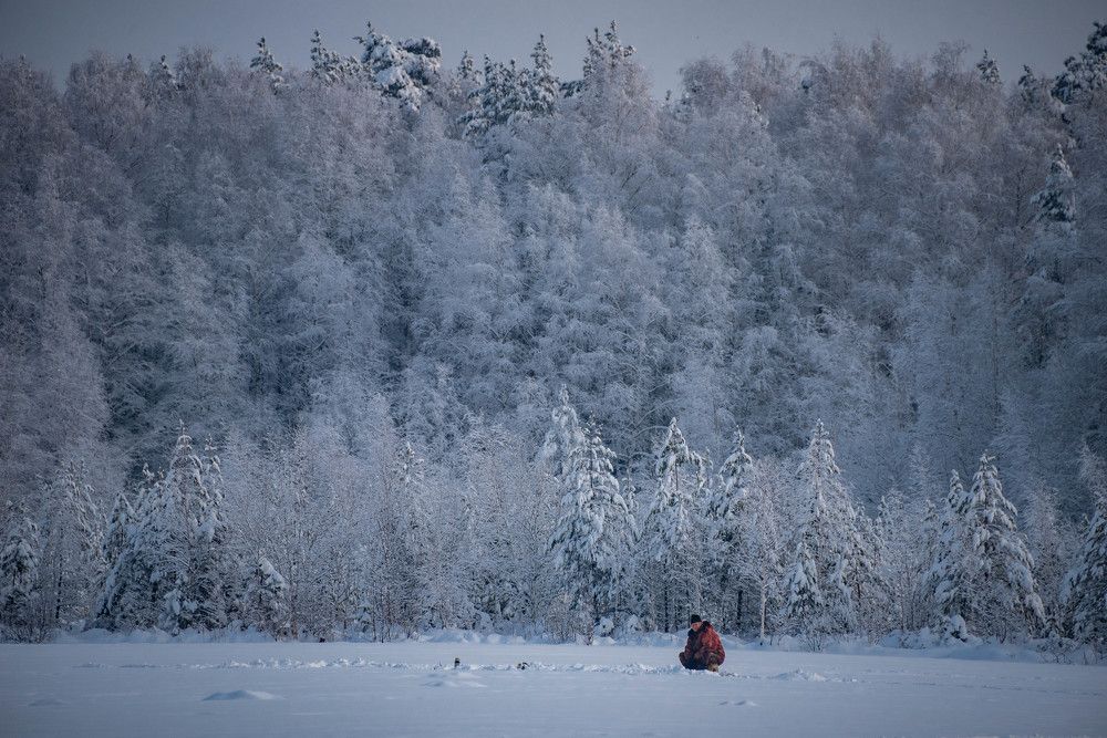 Photograph by Ирина Зубарева