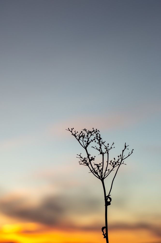 Photograph by Марина Смирнова