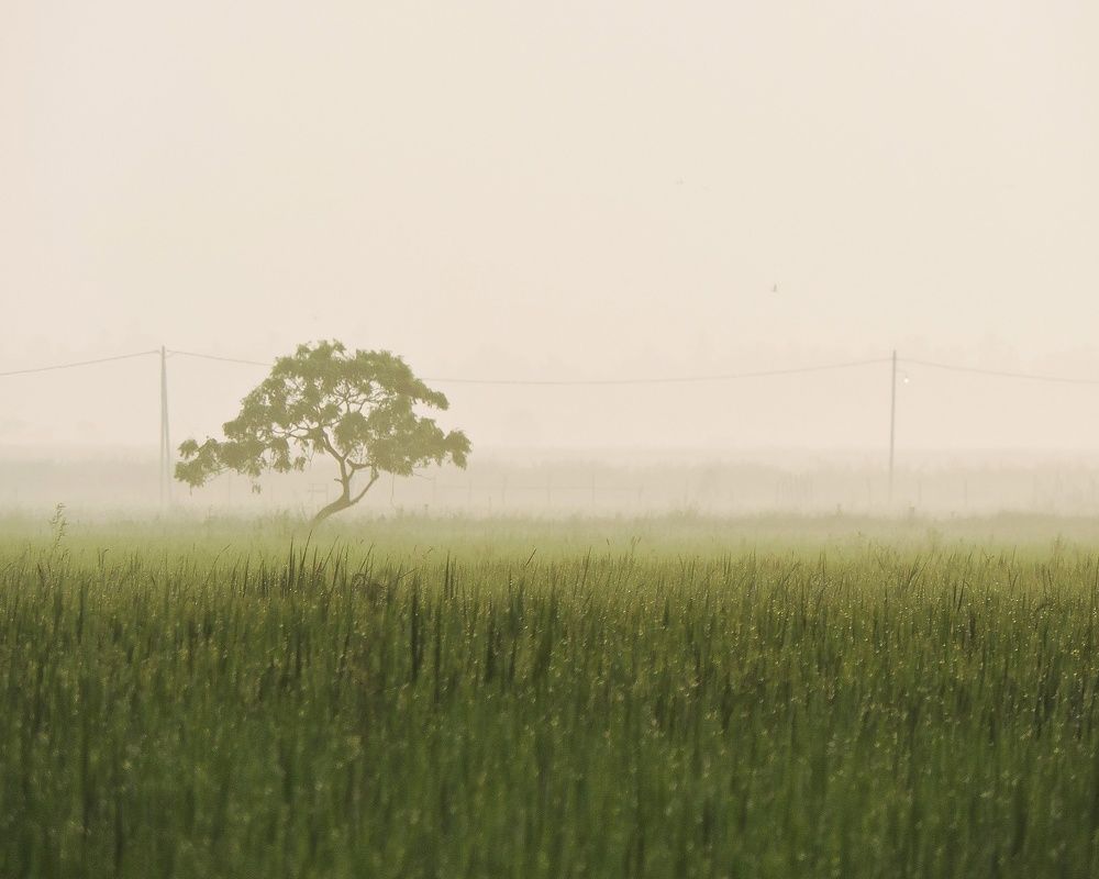 Photograph by Nusky Ahamed Rafeek