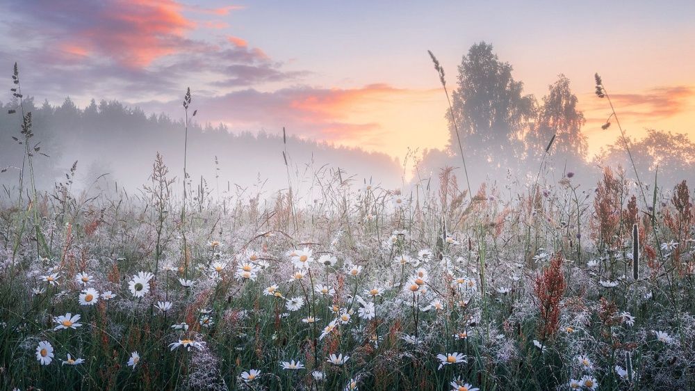 Фотография автора Евгений Ерохин