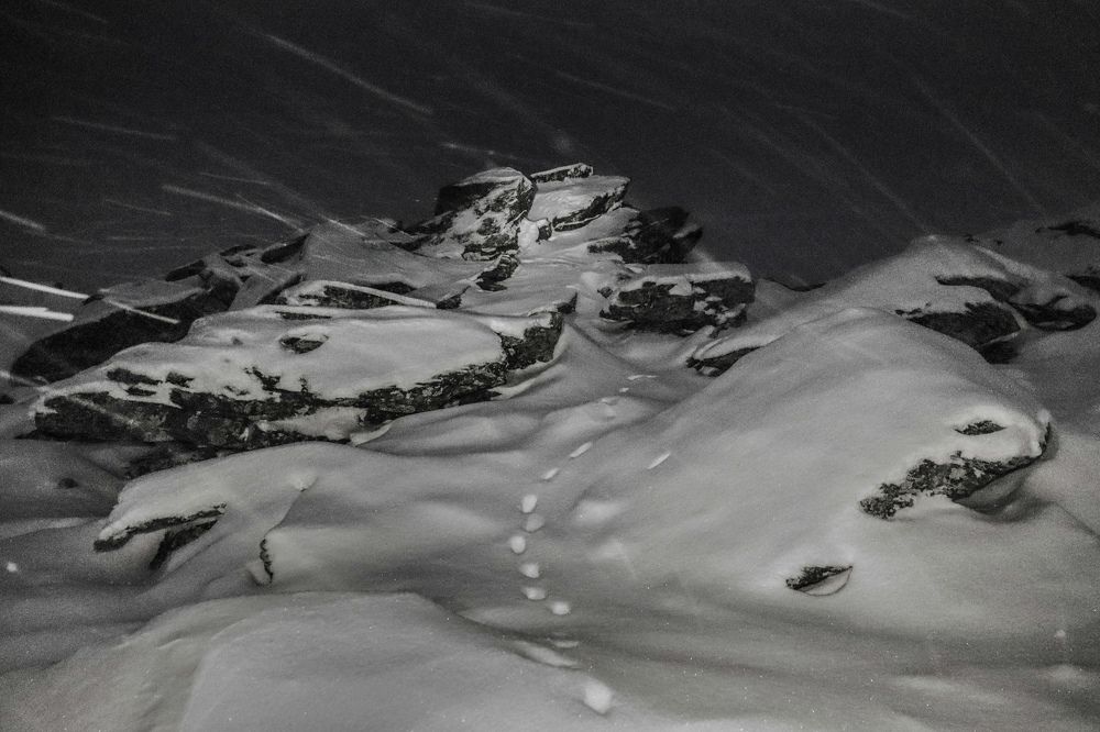 Photograph by Ирина Любимова