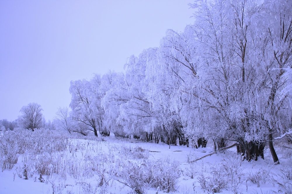 Photograph by Гульжан Шарипова