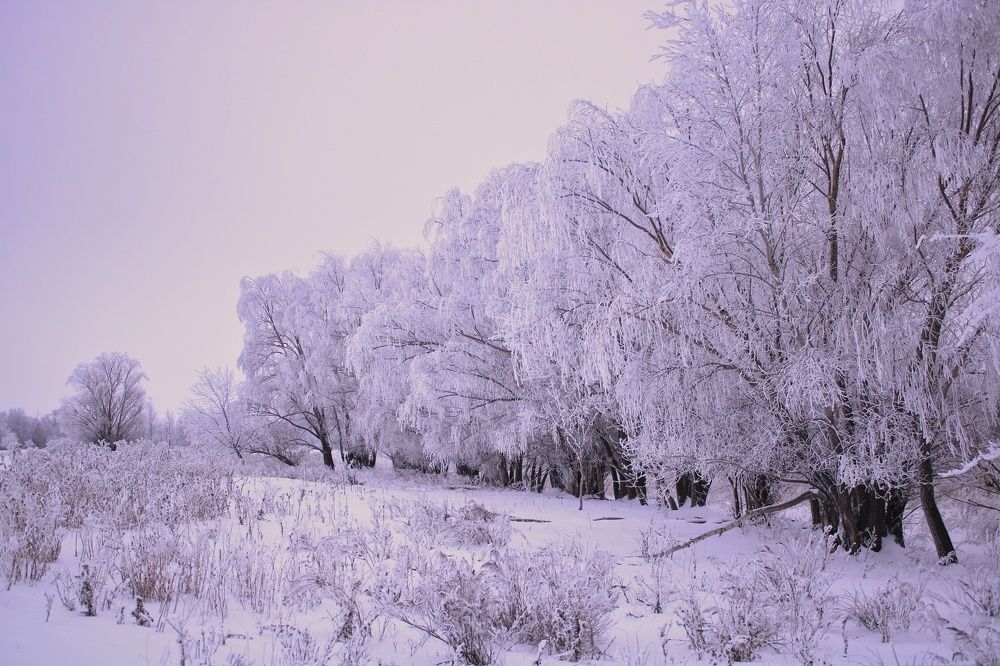 Photograph by Гульжан Шарипова