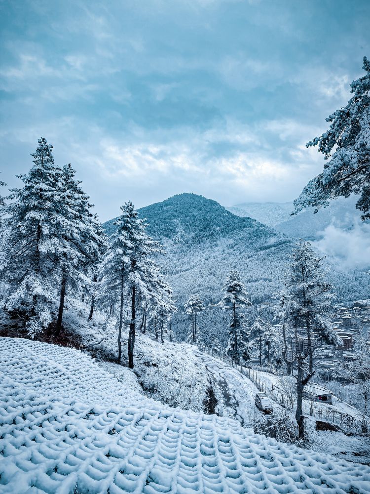 Photograph by Kinzang Tobgay