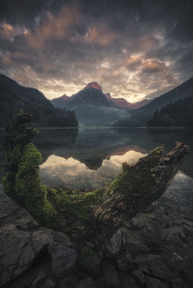 Early in the morning