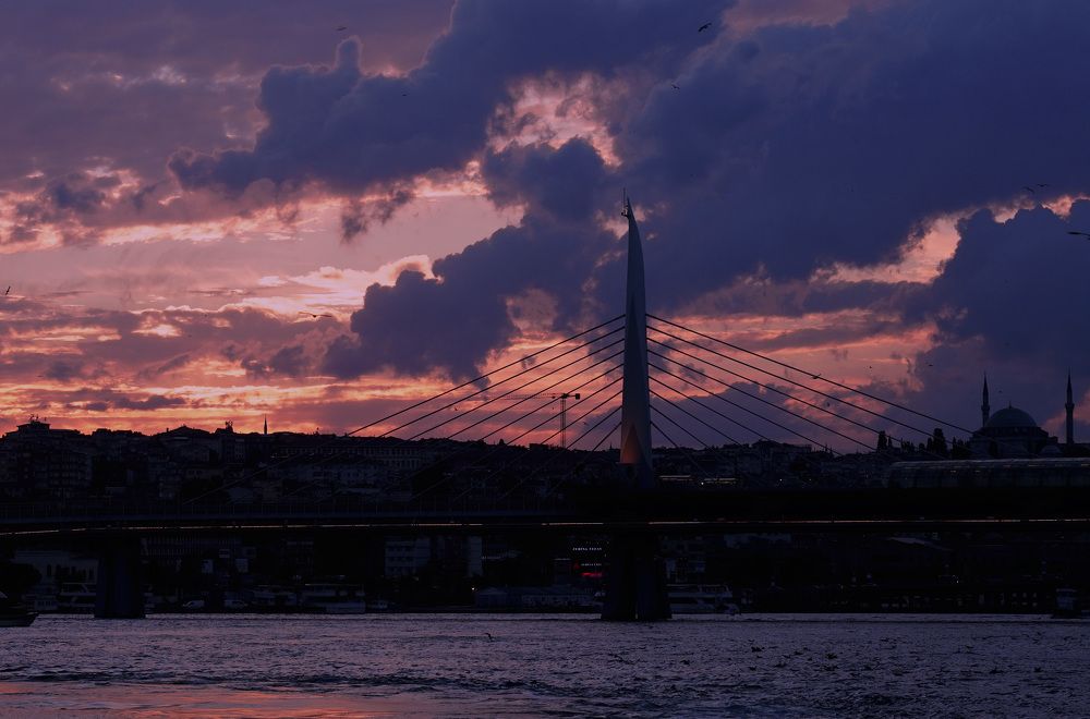 Photograph by 