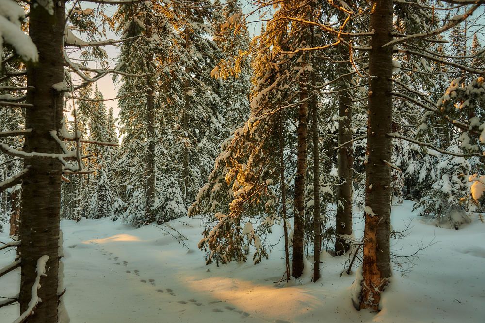 Photograph by Владимир Малевич