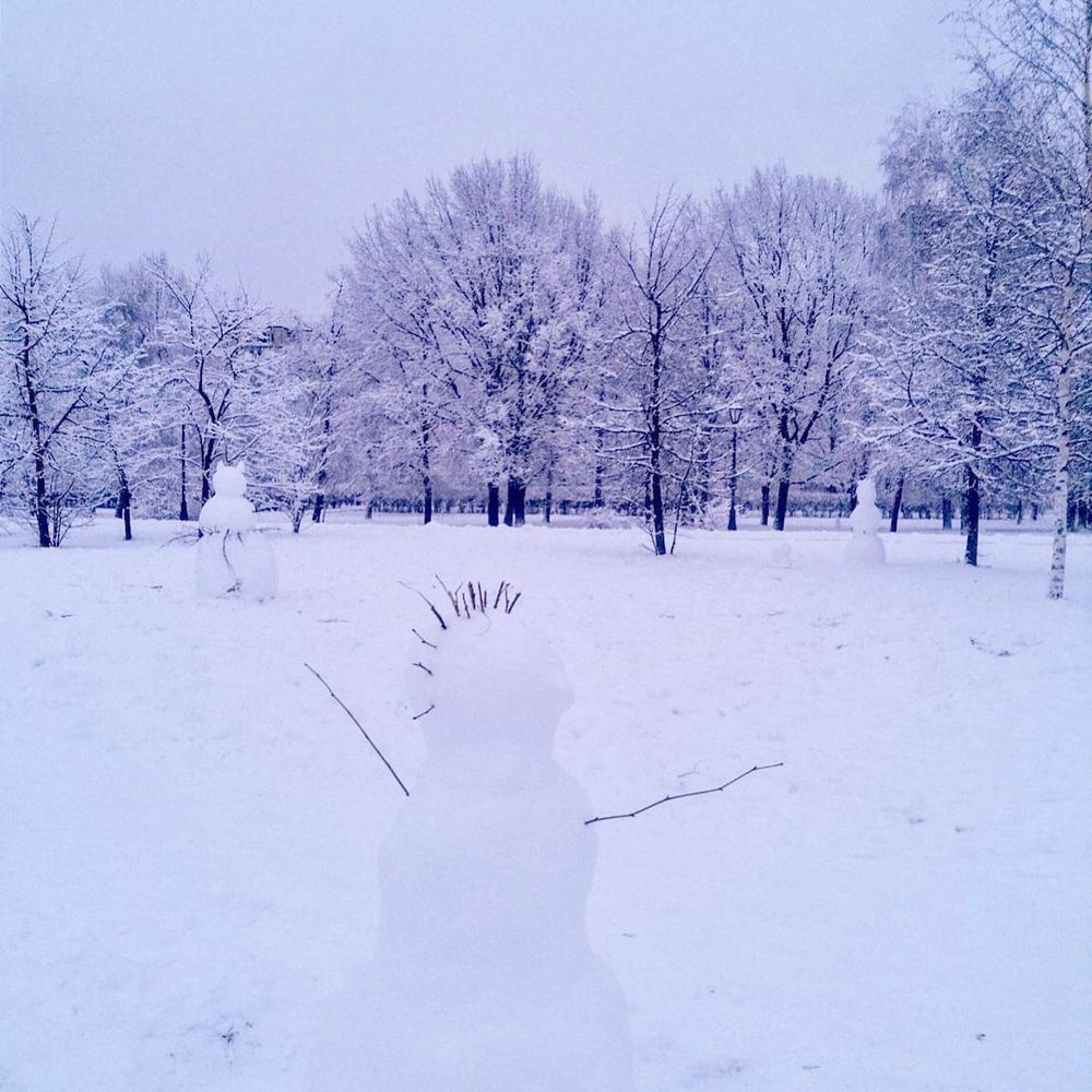 Фотография автора Юлия