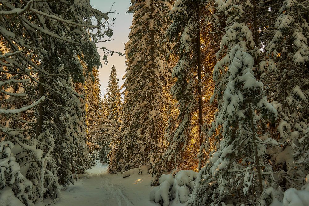 Photograph by Владимир Малевич