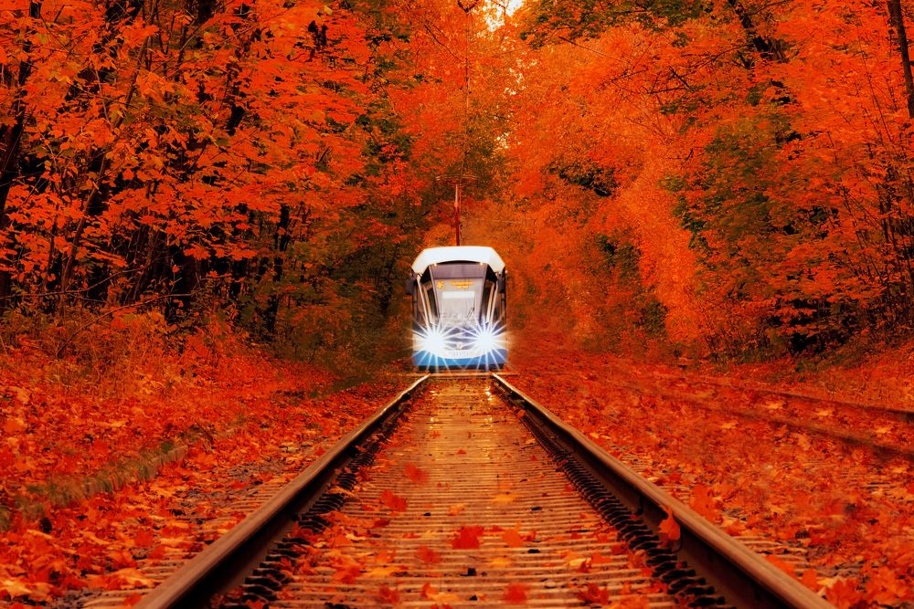 Осень. Сказочный чертог.