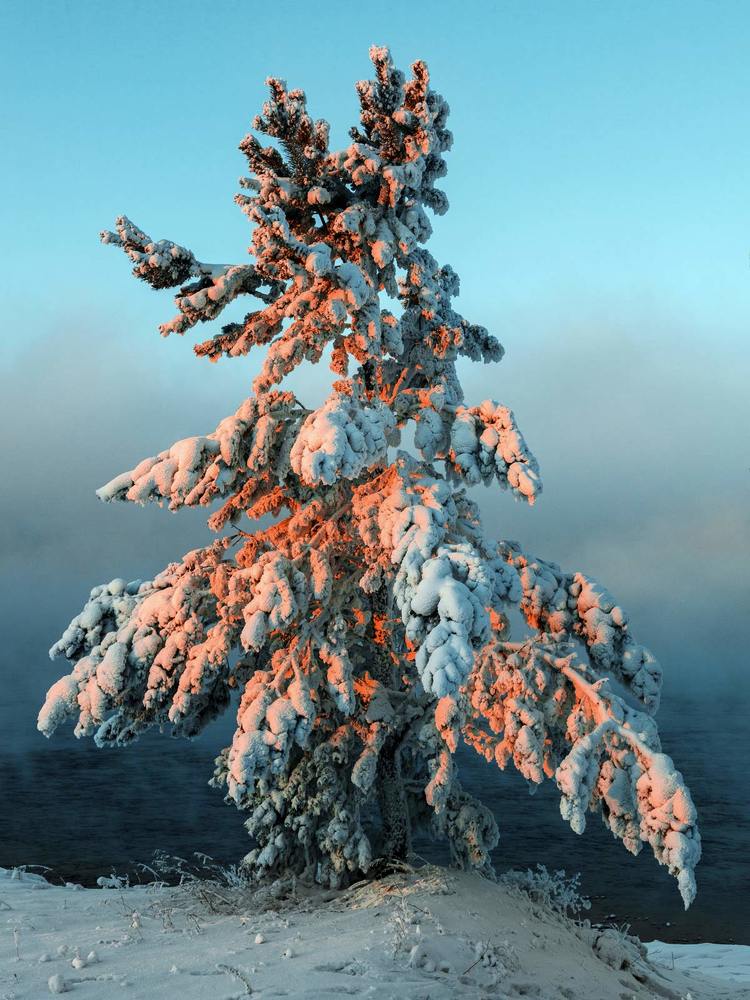 Фотография автора Сергей Низовцев