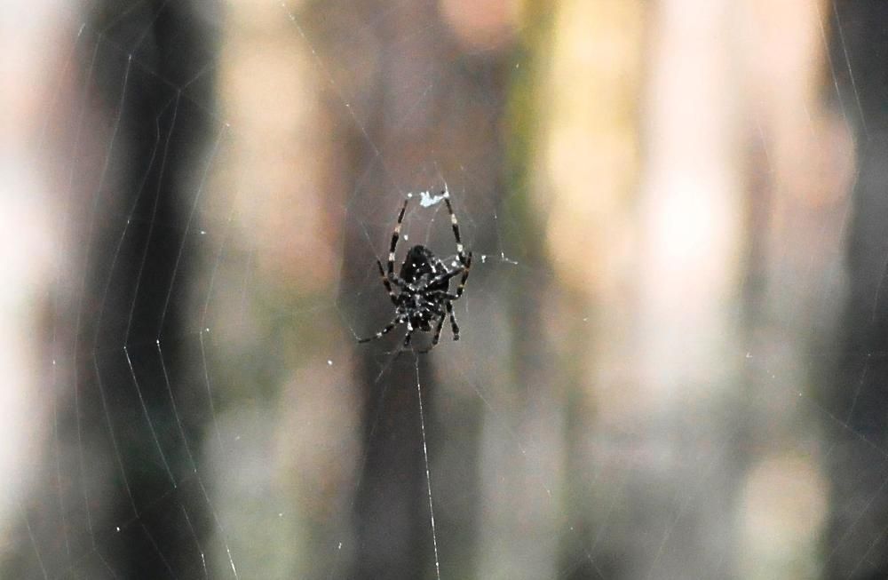 Photograph by Николай Николаевич Леухин