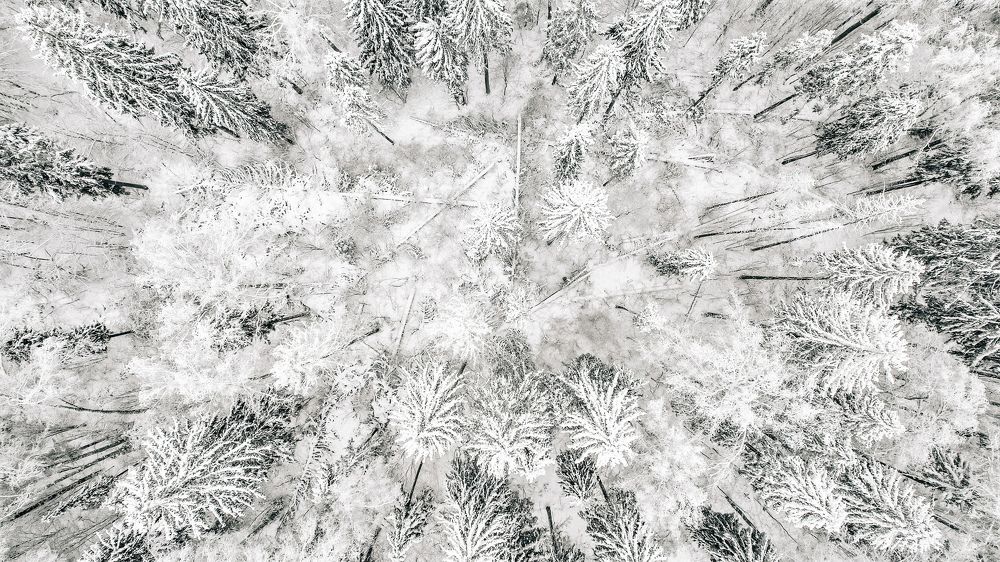 Photograph by Кононенко Владимир