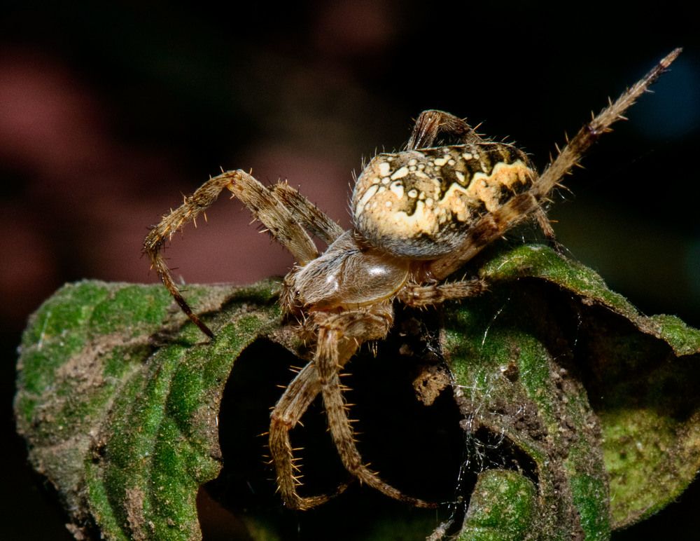 Photograph by Rimma Volchenko