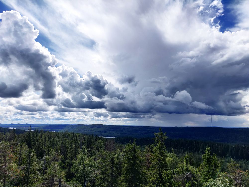 Photograph by Юлия