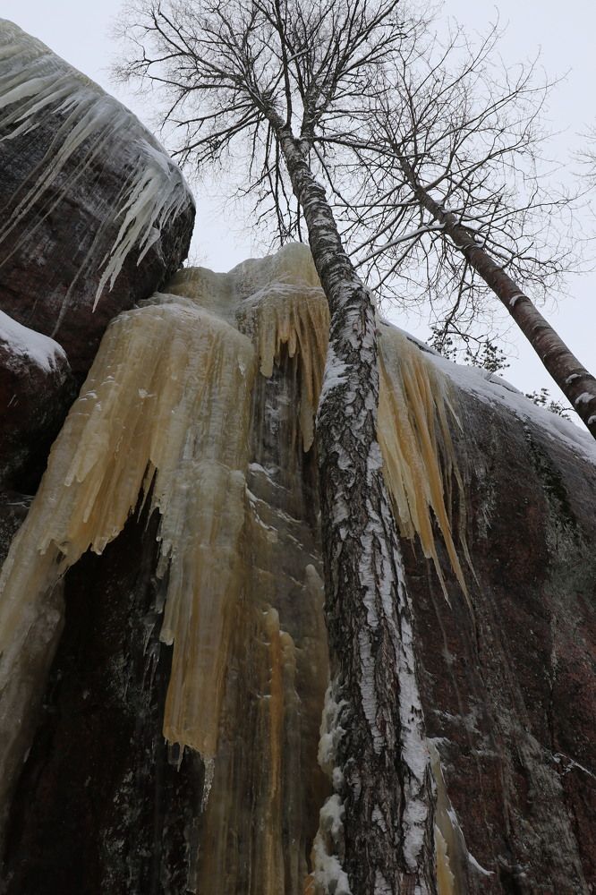 Фотография автора Татьяна Свистулина