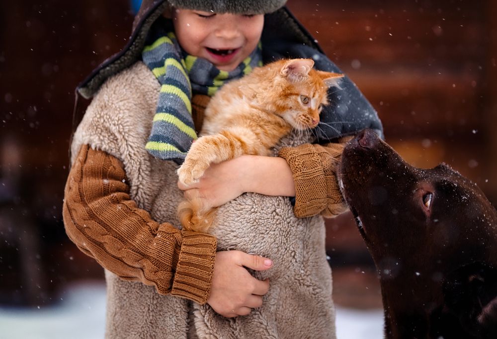 Photograph by Наталия Панченко