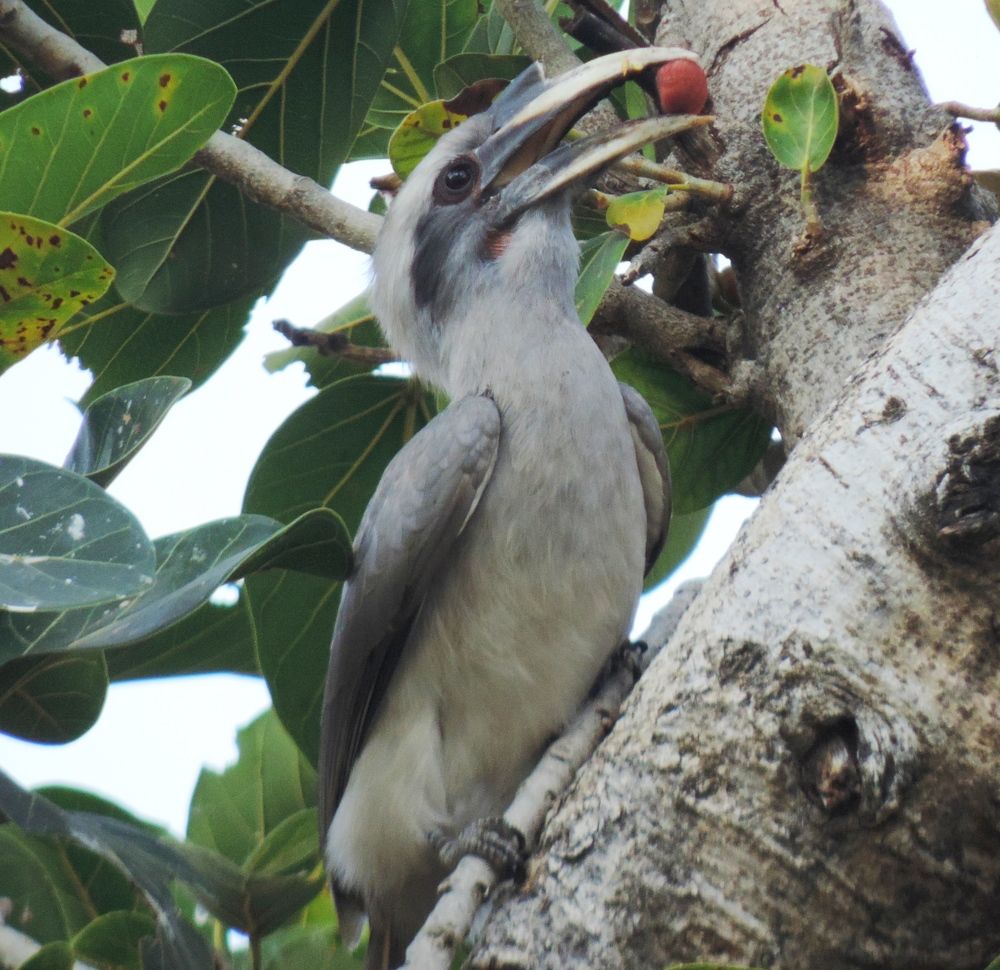 Photograph by Vineet Sharma